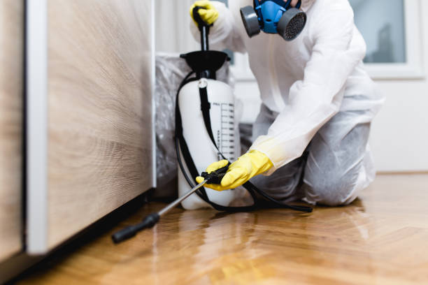 Best Insect Control  in St James, MD