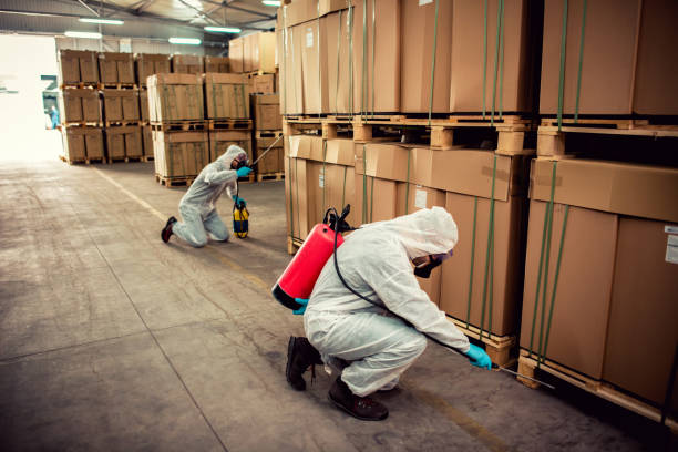 Best Best Pest Control Companies  in St James, MD