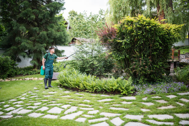 Best Affordable Pest Control Services  in St James, MD