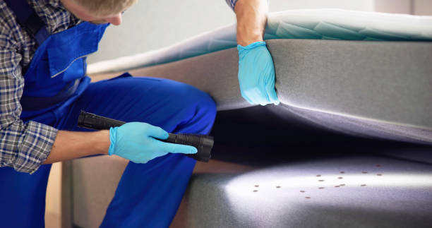 Best Pest Control for Businesses  in St James, MD