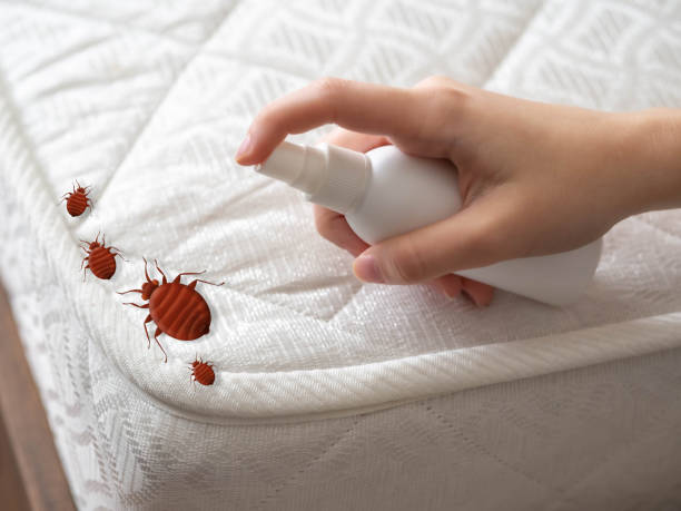 Best Bed Bug Extermination  in St James, MD