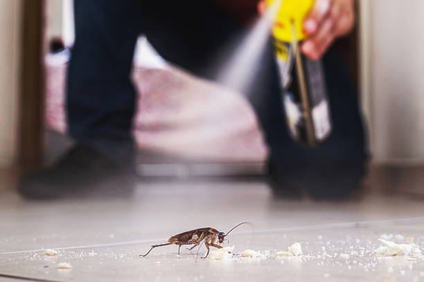 Best Pest Control Near Me  in St James, MD